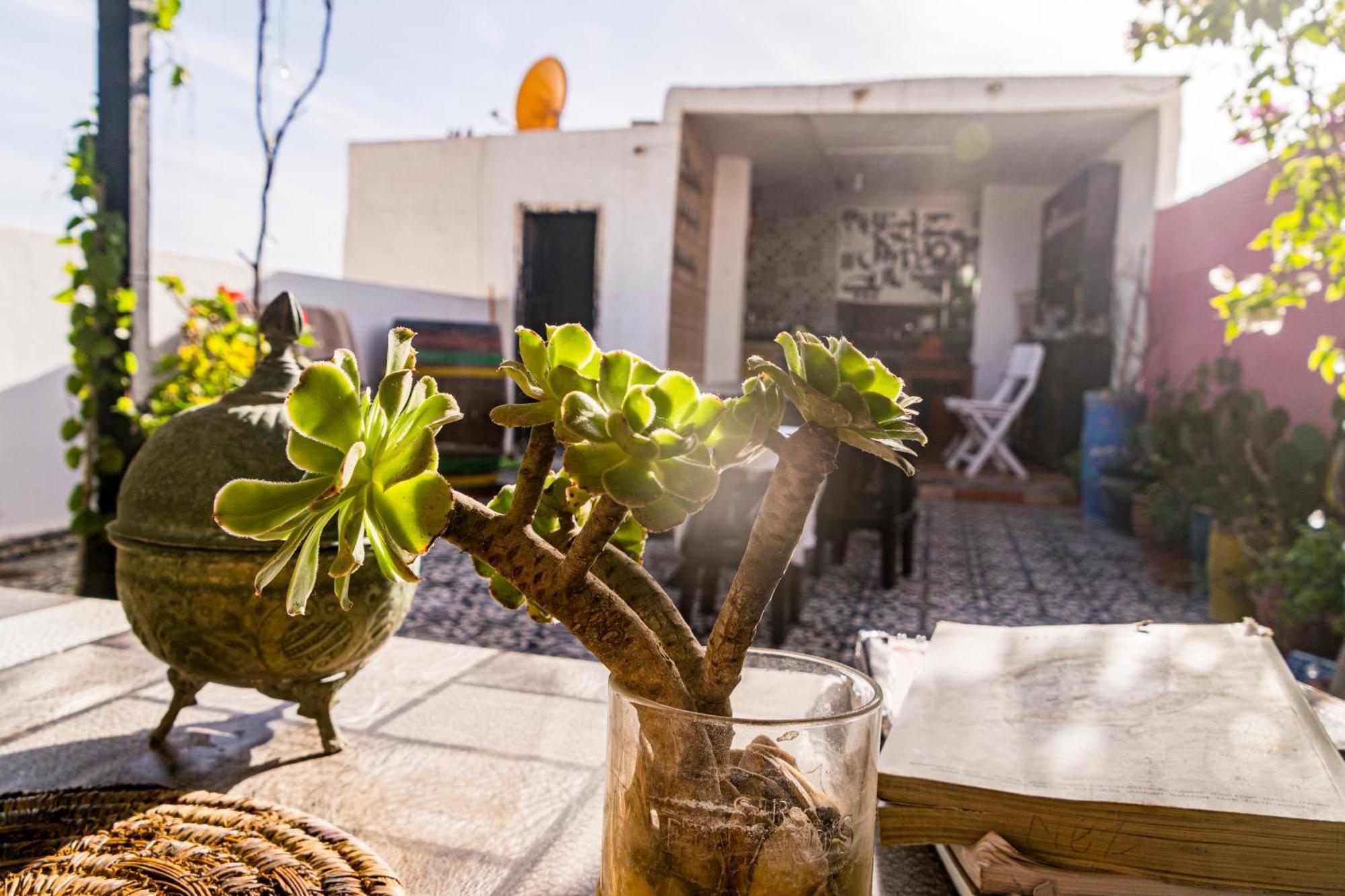 Essaouira Youth Hostel & Social Travel Exterior photo