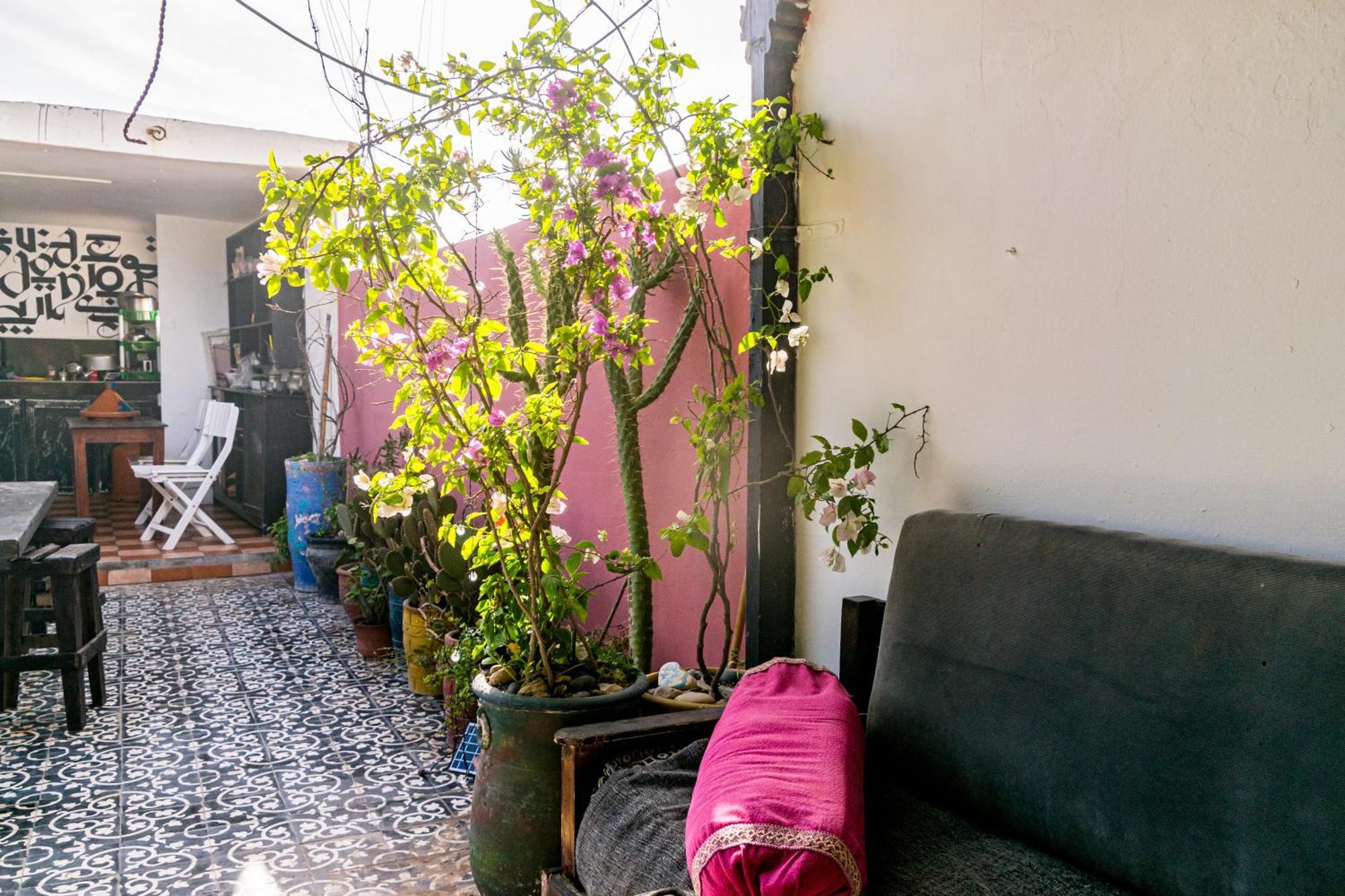 Essaouira Youth Hostel & Social Travel Exterior photo